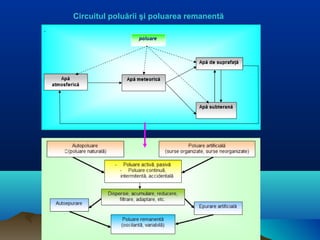 Circuitul poluării şi poluarea remanentă
 