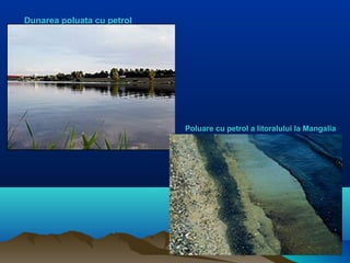 Dunarea poluata cu petrol
Poluare cu petrol a litoralului la Mangalia
 