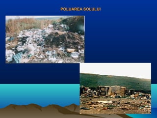 POLUAREA SOLULUI
 