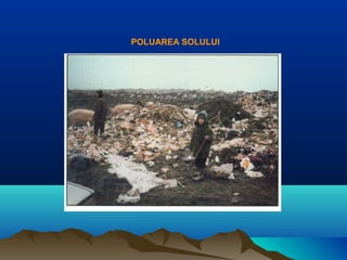 POLUAREA SOLULUI
 