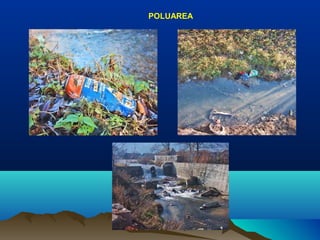 POLUAREA
 