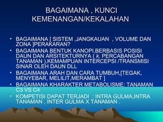 BAGAIMANA , KUNCIBAGAIMANA , KUNCI
KEMENANGAN/KEKALAHANKEMENANGAN/KEKALAHAN
• BAGAIMANA [ SISTEM ,JANGKAUAN , VOLUME DAN
ZONA ]PERAKARAN?
• BAGAIMANA BENTUK KANOPI,BERBASIS POSISI
DAUN DAN ARSITEKTURNYA ( k, PERCABANGAN
TANAMAN ),KEMAMPUAN INTERCEPSI /TRANSMISI
SINAR OLEH DAUN DLL
• BAGAIMANA ARAH DAN CARA TUMBUH,[TEGAK,
MENYEBAR, MELILIT,MERAMBAT ]
• BAGAIMANA KHARAKTER METABOLISME: TANAMAN
C3 VS C4
• KOMPETISI DAPAT TERJADI : INTRA GULMA,INTRA
TANAMAN , INTER GULMA X TANAMAN .
 