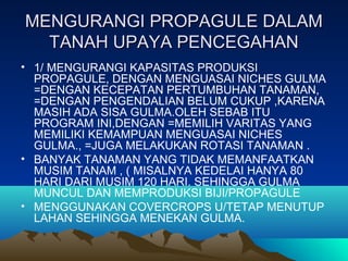 MENGURANGI PROPAGULE DALAMMENGURANGI PROPAGULE DALAM
TANAH UPAYA PENCEGAHANTANAH UPAYA PENCEGAHAN
• 1/ MENGURANGI KAPASITAS PRODUKSI
PROPAGULE, DENGAN MENGUASAI NICHES GULMA
=DENGAN KECEPATAN PERTUMBUHAN TANAMAN,
=DENGAN PENGENDALIAN BELUM CUKUP ,KARENA
MASIH ADA SISA GULMA.OLEH SEBAB ITU
PROGRAM INI,DENGAN =MEMILIH VARITAS YANG
MEMILIKI KEMAMPUAN MENGUASAI NICHES
GULMA., =JUGA MELAKUKAN ROTASI TANAMAN .
• BANYAK TANAMAN YANG TIDAK MEMANFAATKAN
MUSIM TANAM , ( MISALNYA KEDELAI HANYA 80
HARI DARI MUSIM 120 HARI. SEHINGGA GULMA
MUNCUL DAN MEMPRODUKSI BIJI/PROPAGULE
• MENGGUNAKAN COVERCROPS U/TETAP MENUTUP
LAHAN SEHINGGA MENEKAN GULMA.
 