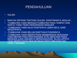 PENDAHULUANPENDAHULUAN
• GULMA
• BANYAK DEFINISI TENTANG GULMA, DIANTARANYA ADALAH :
• -TUMBUHAN YANG BERADA/TUMBUHAN PADA TEMPAT DAN
WAKTU YANG TIDAK DIKEHENDAKI MANUSIA
• -TUMBUHAN YANG NILAI POSITIFNYA LEBIH KECIL DARI
NEGATIFNYA
• -TUMBUHAN YANG BELUM DIKETAHUI FUNGSINYA
• -TUMBUHAN YANG BERPOTENSI MEMBERIKAN KERUGIAN
YANG BESAR PADA PERTANAMAN ATAU BENCANA PADA
MANUSIA,JUGA UMUMNYA MENGHASILKAN ALLELLOPATH
YANG BERPOTENSI MENURUNKAN PERTUMBUHAN DAN
HASIL TANAMAN.
 