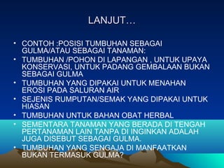 LANJUT…LANJUT…
• CONTOH :POSISI TUMBUHAN SEBAGAI
GULMA/ATAU SEBAGAI TANAMAN:
• TUMBUHAN /POHON DI LAPANGAN , UNTUK UPAYA
KONSERVASI, UNTUK PADANG GEMBALAAN BUKAN
SEBAGAI GULMA
• TUMBUHAN YANG DIPAKAI UNTUK MENAHAN
EROSI PADA SALURAN AIR
• SEJENIS RUMPUTAN/SEMAK YANG DIPAKAI UNTUK
HIASAN
• TUMBUHAN UNTUK BAHAN OBAT HERBAL
• SEMENTARA TANAMAN YANG BERADA DI TENGAH
PERTANAMAN LAIN TANPA DI INGINKAN ADALAH
JUGA DISEBUT SEBAGAI GULMA.
• TUMBUHAN YANG SENGAJA DI MANFAATKAN
BUKAN TERMASUK GULMA?
 