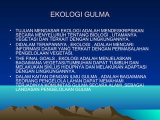 EKOLOGI GULMAEKOLOGI GULMA
• TUJUAN MENDASAR EKOLOGI ADALAH MENDESKRIPSIKAN
SECARA MENYELURUH TENTANG BIOLOGI , UTAMANYA
VEGETASI DAN TERKAIT DENGAN LINGKUNGANNYA.
• DIDALAM TERAPANNYA , EKOLOGI , ADALAH MENCARI
INFORMASI DASAR YANG TERKAIT DENGAN PERMASALAHAN
PENGELOLAAN VEGETASI.
• THE FINAL GOALS , EKOLOGI ADALAH MENJELASKAN
BAGAIMANA VEGETASI/TUMBUHAN DAPAT TUMBUH DAN
MELAKUKAN SIKLUS HIDUPNYA DAN MELAKUKAN ADAPTASI
DENGAN LINGKUNGANNYA.
• DALAM KAITAN DENGAN ILMU GULMA , ADALAH BAGAIMANA
SEORANG PENGELOLA LAHAN DAPAT MEMAHAMI
TERJADINYA KOMUNITAS GULMA SECARA ALAMI ,SEBAGAI
LANDASAN PENGELOLAAN GULMA
 