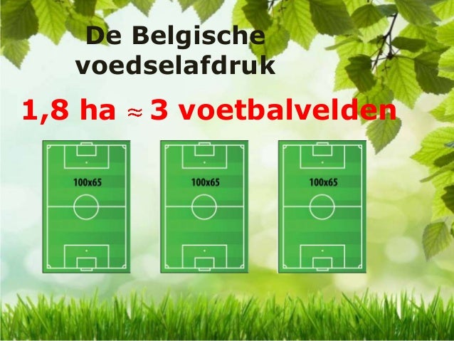 Ecologische voetafdruk