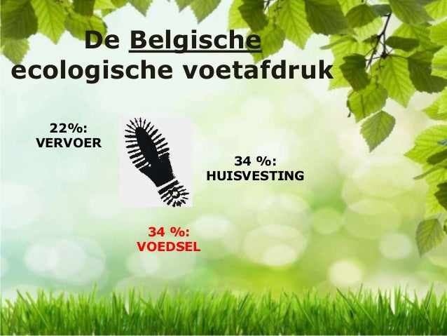 Ecologische voetafdruk
