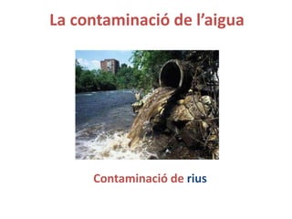 La contaminació de l’aigua
Contaminació de rius
 
