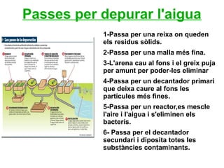 Passes per depurar l'aigua
1-Passa per una reixa on queden
els residus sòlids.
2-Passa per una malla més fina.
3-L'arena cau al fons i el greix puja
per amunt per poder-les eliminar
4-Passa per un decantador primari
que deixa caure al fons les
partícules més fines.
5-Passa per un reactor,es mescle
l'aire i l'aigua i s'eliminen els
bacteris.
6- Passa per el decantador
secundari i diposita totes les
substàncies contaminants.
 