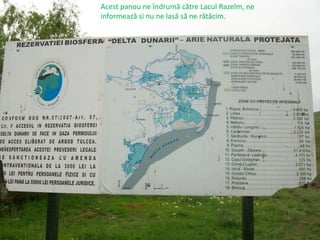 Lacul Razelm Ecologistii din salcioara impreuna protejam lacul razelm | PPSX