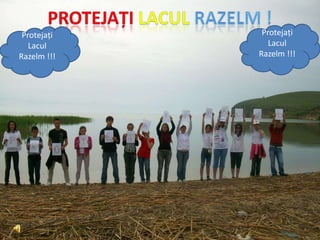 Lacul Razelm Ecologistii din salcioara protejati lacul | PPSX