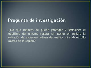 • ¿De qué manera se puede proteger y fortalecer el
equilibrio del entorno natural sin poner en peligro la
extinción de especies nativas del medio, ni el desarrollo
mismo de la región?
 