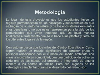 La idea de este proyecto es que los estudiantes lleven un
registro pormenorizado de los hallazgos y descubrimientos que
se hagan de su entorno natural y de los ecosistemas existentes
y los beneficios o no que estos representan para la vida de las
comunidades que viven inmersas allí. De igual manera
analizaran el tratamiento que se le hace a las plantas y tierra en
los diferentes lugares de la región.
Con esto se busca que los niños del Centro Educativo el Cerro,
logren realizar un trabajo significativo de carácter grupal y
personal relacionado con el cuidado del medio ambiente con
miras a mostrarlo en comunidad, con una participación activa en
cada una de las etapas del proceso, e integrando de alguna
manera a los padres de familia. Para ello, algunas de las
estrategias a implantar durante el desarrollo del mismo son:
 