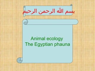 بسم الله الرحمن الرحيم  Animal ecology  The Egyptian phauna 