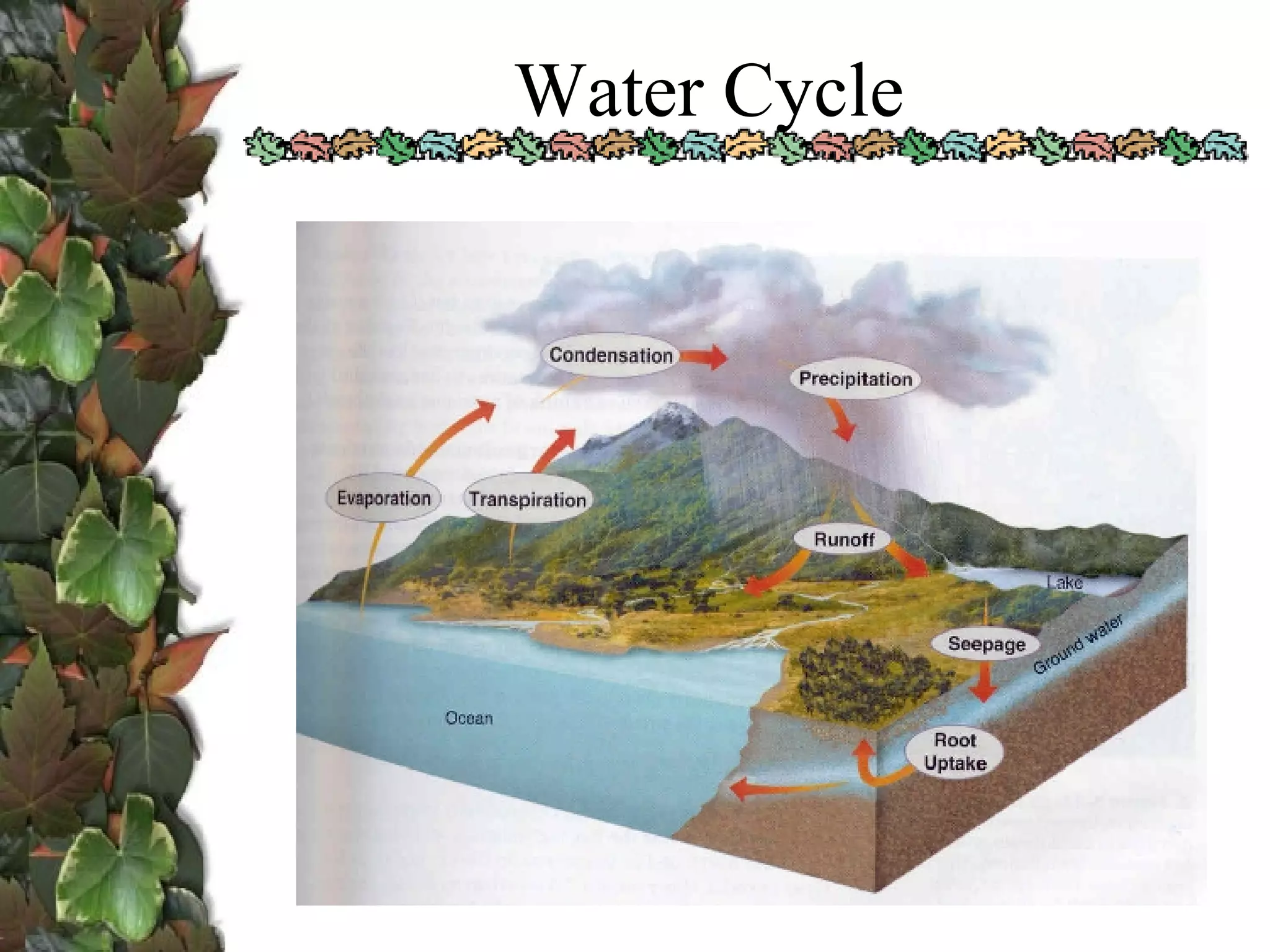 Water Cycle 