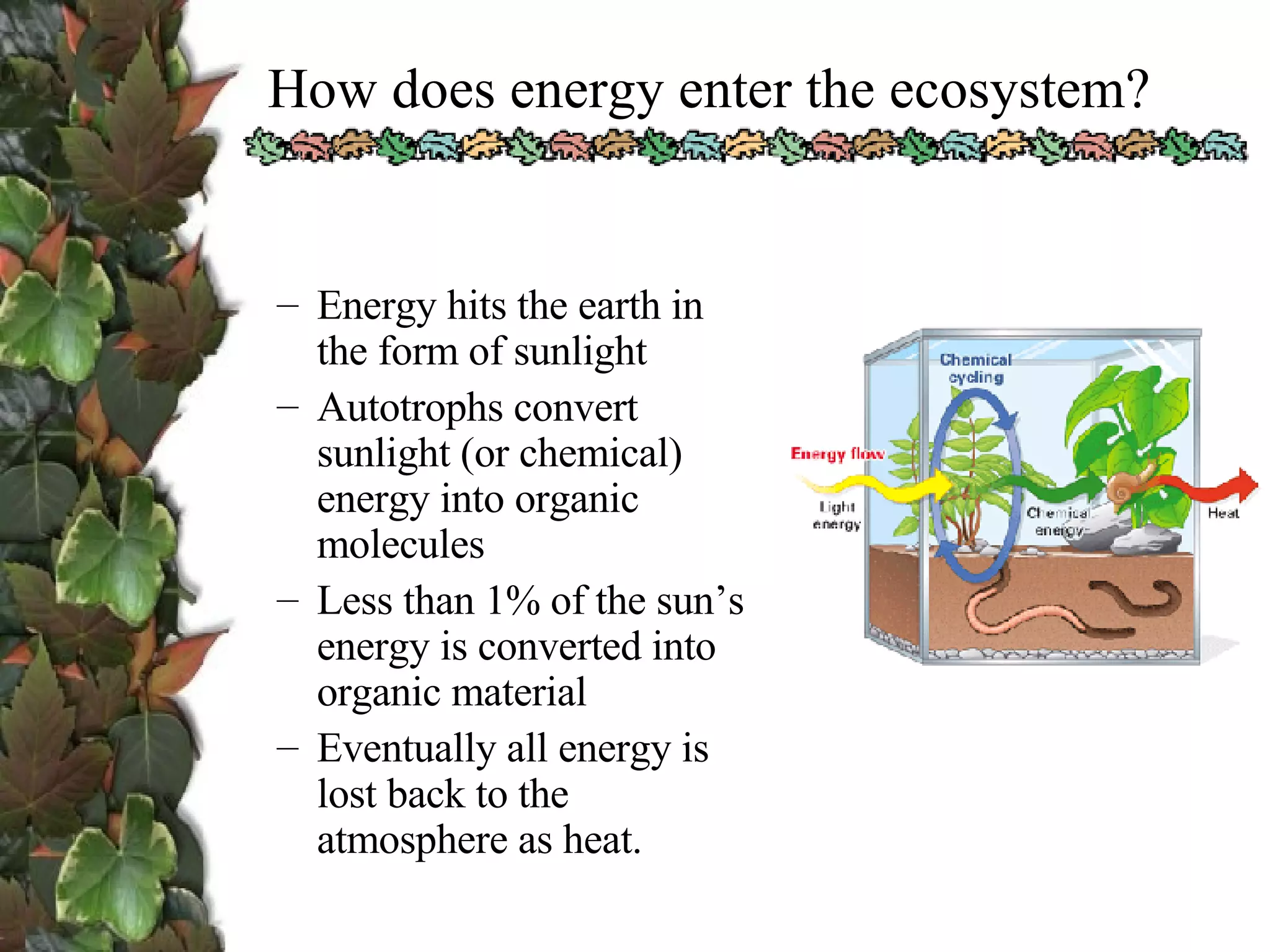 How does energy enter the ecosystem? Energy hits the earth in the form of sunlight Autotrophs convert sunlight (or chemical) energy into organic molecules  Less than 1% of the sun’s energy is converted into organic material Eventually all energy is lost back to the atmosphere as heat. 