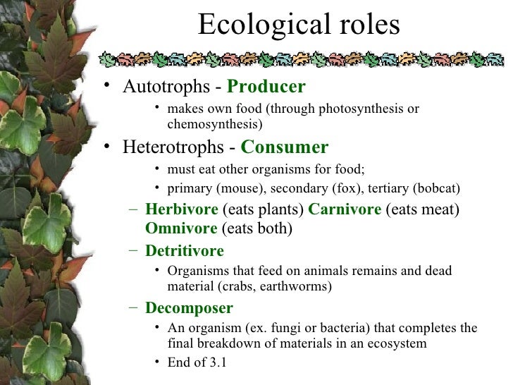 Ecology 1