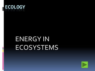 ecology ENERGY IN ECOSYSTEMS 