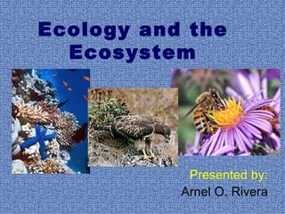 Ecology and the Ecosystem Presented by: Arnel O. Rivera 