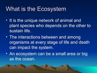 What is the Ecosystem It is the unique network of animal and plant species who depends on the other to sustain life.  The interactions between and among organisms at every stage of life and death can impact the system.  An ecosystem can be a small area or big as the ocean.  