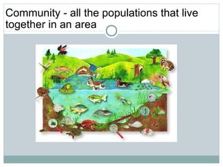 Community - all the populations that live together in an area 