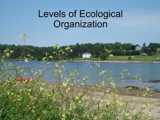 Levels of Ecological Organization 
