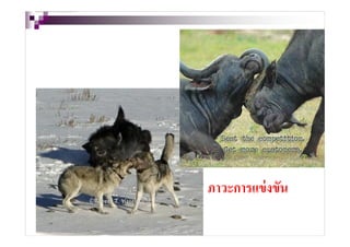 To help protect y our priv acy , PowerPoint prev ented this external picture from being automatically downloaded. To download and display this picture, click Options in the Message Bar, and then click Enable external content.




                                                                                                                                                                                                                                    ภาวะการแข่ งขัน
 