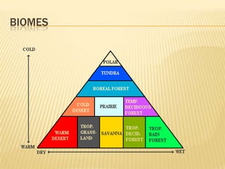 Triangular Graph Biomes Ecology | PPTX