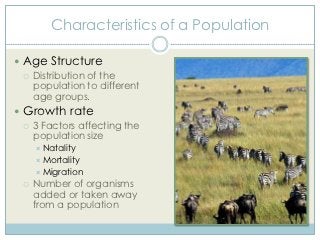An Introduction to Ecology | PPTX
