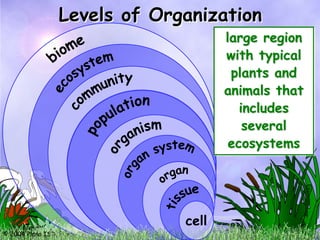 Levels of Organization
                                      all group of
                                      one organisms
                                      all interacting
                                       smallest unit
                                       large region
                                           living and
                                             individual
                                      populations in
                                       ofnonliving
                                       similarthing
                                        with living
                                        livingtypical
                                         different
                                          of same
                                           organs
                                           the cells
                                      an kinds and
                                       organized to
                                       kind living in
                                        plants of
                                           working
                                           ecosystem
                                            things
                                      work together
                                       animals that
                                        interacting
                                          one area
                                          together
                                           tissues
                                          within a
                                          includes
                                           working
                                       certain area
                                          together
                                           several
                                        ecosystems




                               cell
© 2004 Plano ISD, Plano, TX
 