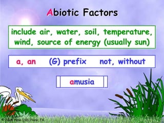 A
                              Abiotic Factors
     include air, water, soil, temperature,
      wind, source of energy (usually sun)

         a, an                (G) prefix     not, without

                                   abiotic
                                   amusia
                                   amoral
                                   atoxic



© 2004 Plano ISD, Plano, TX
 