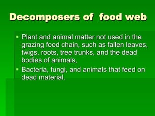 Decomposers of  food web Plant and animal matter not used in the grazing food chain, such as fallen leaves, twigs, roots, tree trunks, and the dead bodies of animals,  Bacteria, fungi, and animals that feed on dead material. 