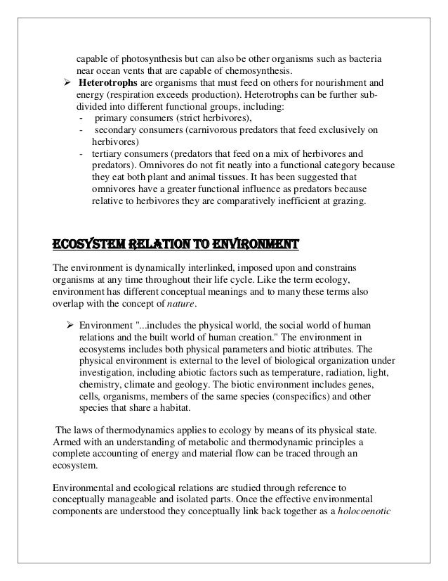 politics in the english language thesis politics in the english language thesis