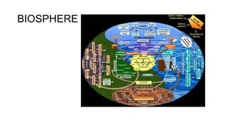 BIOSPHERE
 