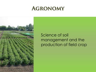 Science of soil
management and the
production of field crop
 