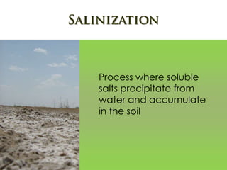 Process where soluble
salts precipitate from
water and accumulate
in the soil
 