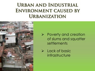  Poverty and creation
of slums and squatter
settlements
 Lack of basic
infrastructure
 