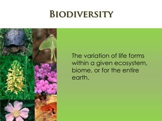 The variation of life forms
within a given ecosystem,
biome, or for the entire
earth.
 