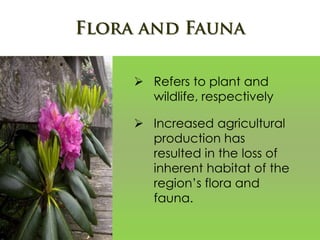  Refers to plant and
wildlife, respectively
 Increased agricultural
production has
resulted in the loss of
inherent habitat of the
region’s flora and
fauna.
 