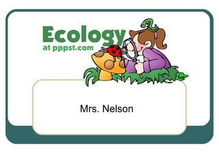 Mrs. Nelson
 