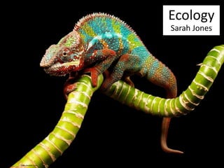 Ecology 
Sarah Jones 
hdw.eweb4.com 
 