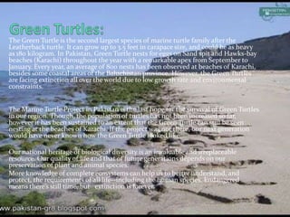 Endangered Species Of PAKISTAN | PPTX