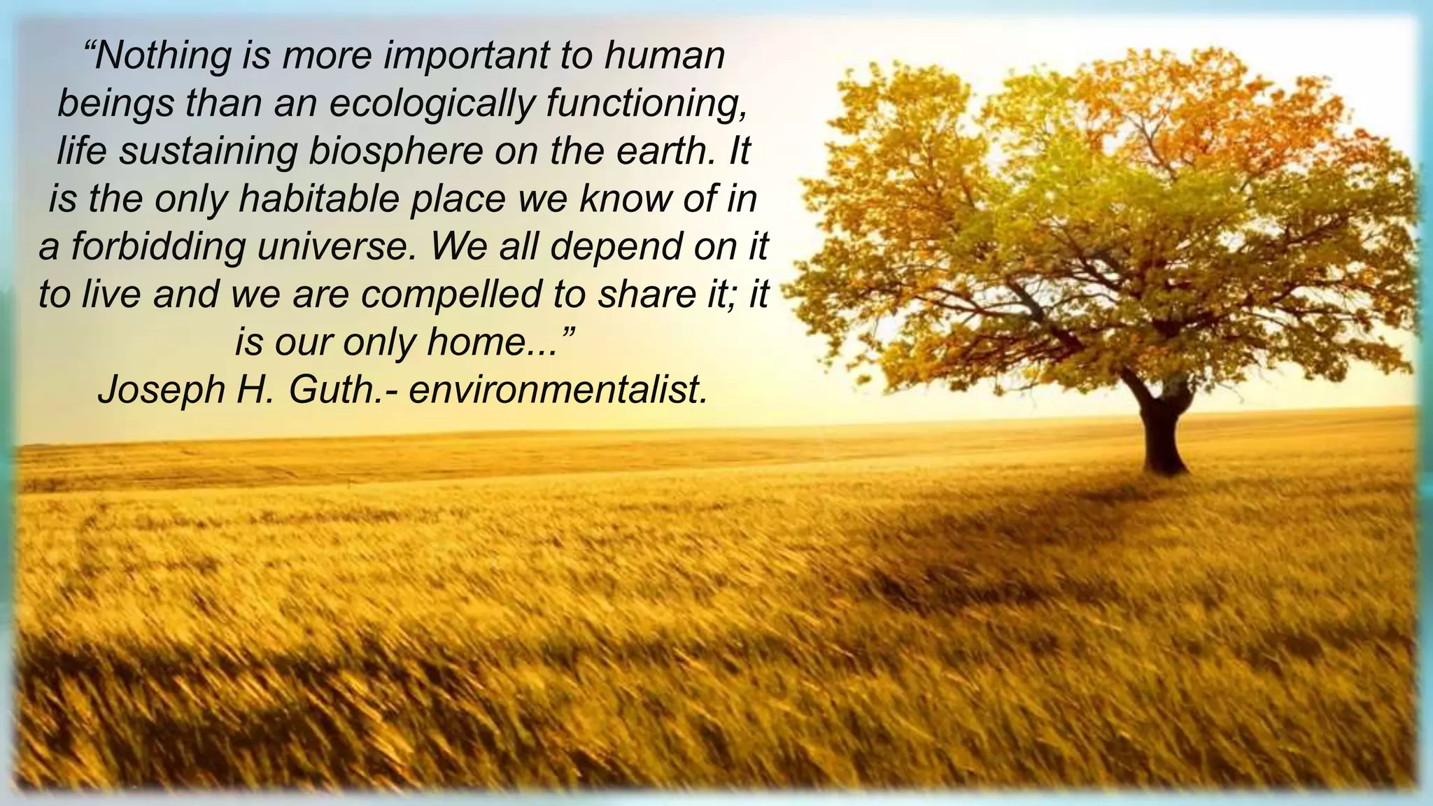 environmental-problems-ppt