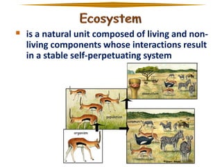  is a natural unit composed of living and nonliving components whose interactions result
in a stable self-perpetuating system

 