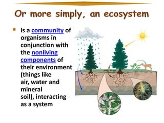  is a community of
organisms in
conjunction with
the nonliving
components of
their environment
(things like
air, water and
mineral
soil), interacting
as a system

 