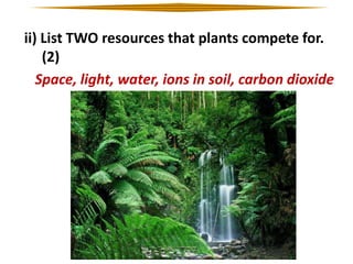 ii) List TWO resources that plants compete for.
(2)
Space, light, water, ions in soil, carbon dioxide

 