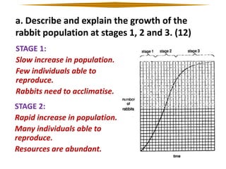 a. Describe and explain the growth of the
rabbit population at stages 1, 2 and 3. (12)
STAGE 1:
Slow increase in population.
Few individuals able to
reproduce.
Rabbits need to acclimatise.
STAGE 2:
Rapid increase in population.
Many individuals able to
reproduce.
Resources are abundant.

 
