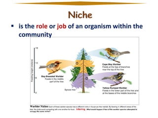  is the role or job of an organism within the
community

 