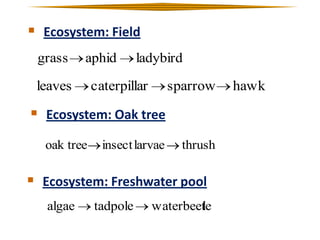  Ecosystem: Field
grass

aphid

leaves

ladybird

caterpillar

sparrow

 Ecosystem: Oak tree
oak tree

insect larvae

thrush

 Ecosystem: Freshwater pool
algae

tadpole

waterbeet
le

hawk

 